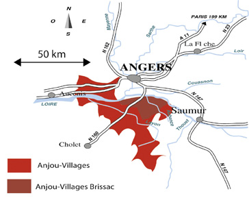 Anjou-Brissac