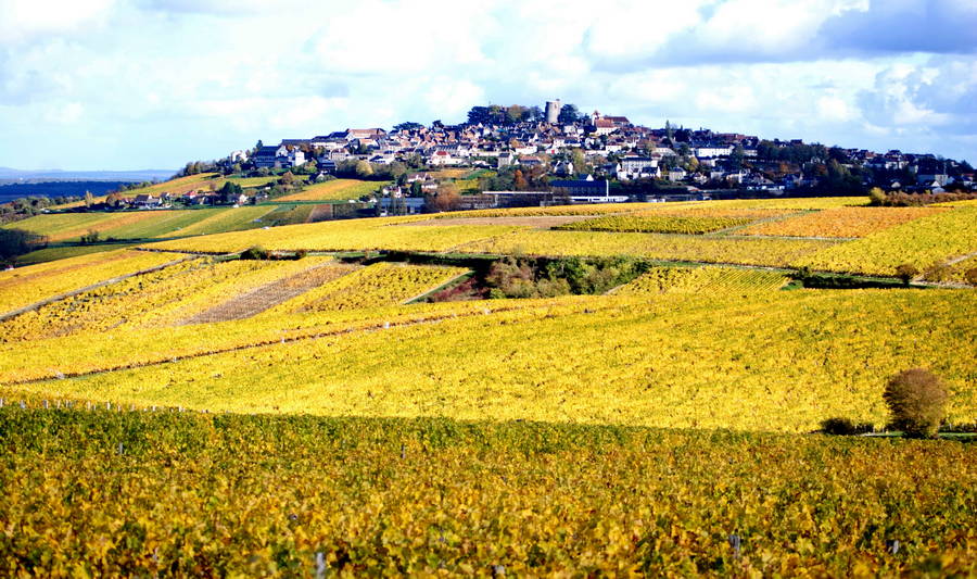 Vignobles du Val de Loire
